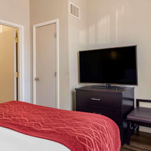 Comfort Inn & Suites, 道格拉斯维尔 — 照片 5