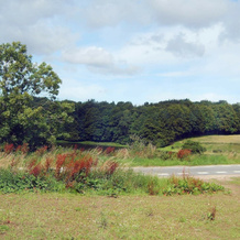 Tranquil Holiday Home in Aabenraa with Shared Pool, Aabenraa — photo 2