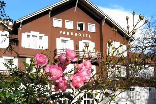 Parkhotel, Bad Ragaz — photo 1