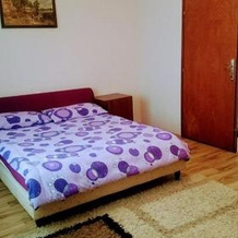 Domacinstvo Cikic Zasavica, 斯雷姆斯卡米特罗维察 — 照片 2