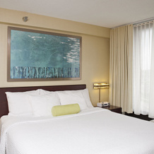 Springhill Suites Chicago Naperville, Уорренвилл — фото 4