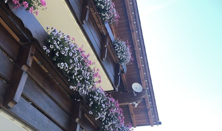 Hotel Oberdorfer Stuben, 奥伯多夫 — 照片 1