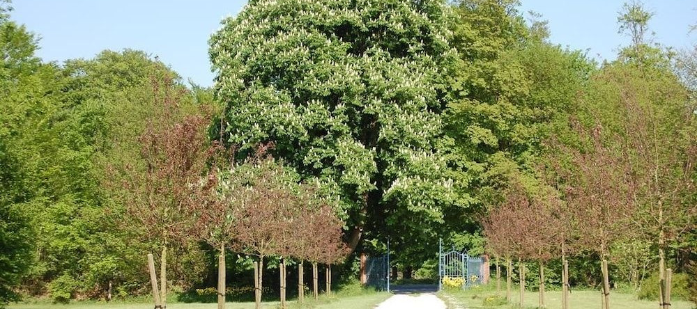 Manoir De La Plane B&B, Сен-Гатьен-де-Буа — фото 1