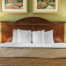 Comfort Inn & Suites Ann Arbor, Питтсфилд — фото 4
