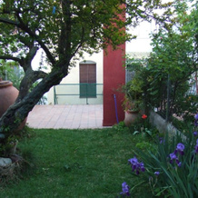 Churruca, Jaraiz de la Vera — photo 5