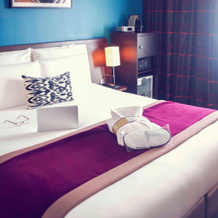 Mercure Angers Centre Gare, Анжер — фото 5