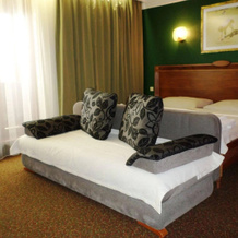Hotel International, Велка Ломница — фото 4
