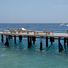 Kura Kura Resort, 哲帕拉 — 照片 4