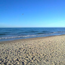 Peaceful Apartment in Wieck a Darß Near the Sea, Wieck auf dem Darss — photo 5