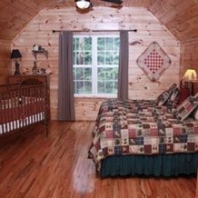 Coon`s Den-Blue Ridge Cabin Rental, Дактаун — фото 2