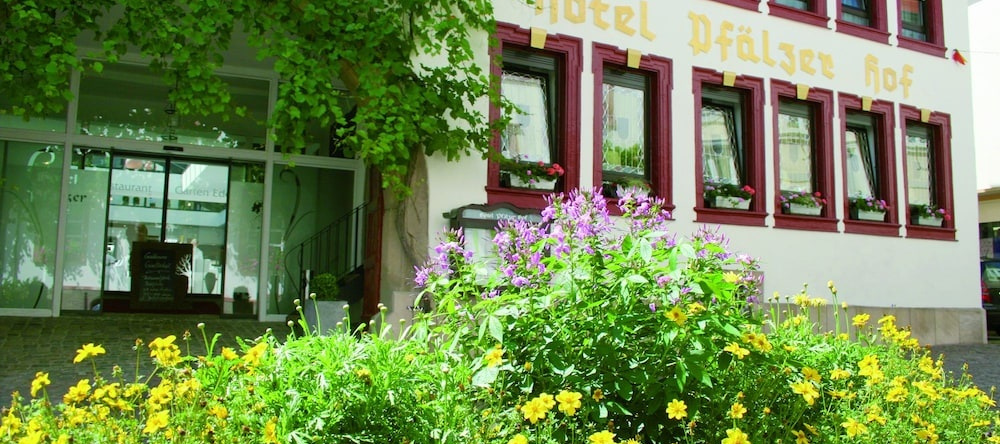 Hotel Pfälzer Hof, Edenkoben — photo 1