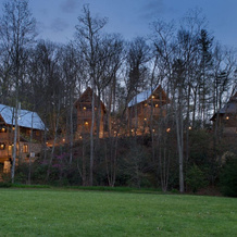 Wild Turkey's Roost - 1 Br Cabin, 布莱克芒廷 — 照片 3