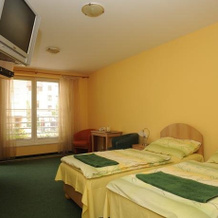 Hotel & Penzion City, 帕尔杜比采 — 照片 4