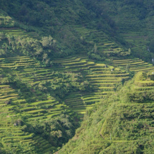 Cambulo Country Cabin, Banaue — photo 4