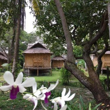 Koh Mook Coco Lodge, 干当 — 照片 4