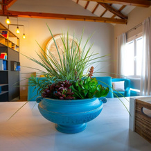 El Patio de los Jazmines "Boutique-House", Consuegra — photo 2
