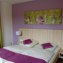 Wildkräuterhotel, 温德尔斯巴赫 — 照片 4