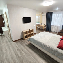 Apartamenty 2-Komn. Na Raboche-Krestyyanskoy Flat, 新沙赫京斯克 — 照片 3