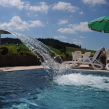 Md Hotel Kaltenbach, Шенвальд — фото 4