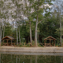 Sherwood Park Hotel, Nekrasovskoe — photo 4