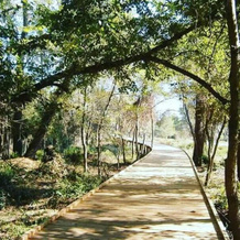Guesthouse Anila, 斯皮勒 — 照片 4