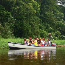 Tortuguero Adventures GuestHouse, 托尔图格罗 — 照片 3