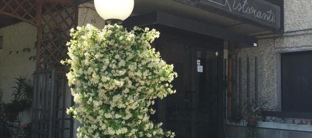 Hotel Ferranti, 塞拉佩特罗纳 — 照片 1