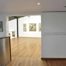 Qdos Arts, Lorne — photo 4