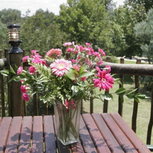 Midrand Wild Goose B&B & Conference Venue, Midrand — photo 5