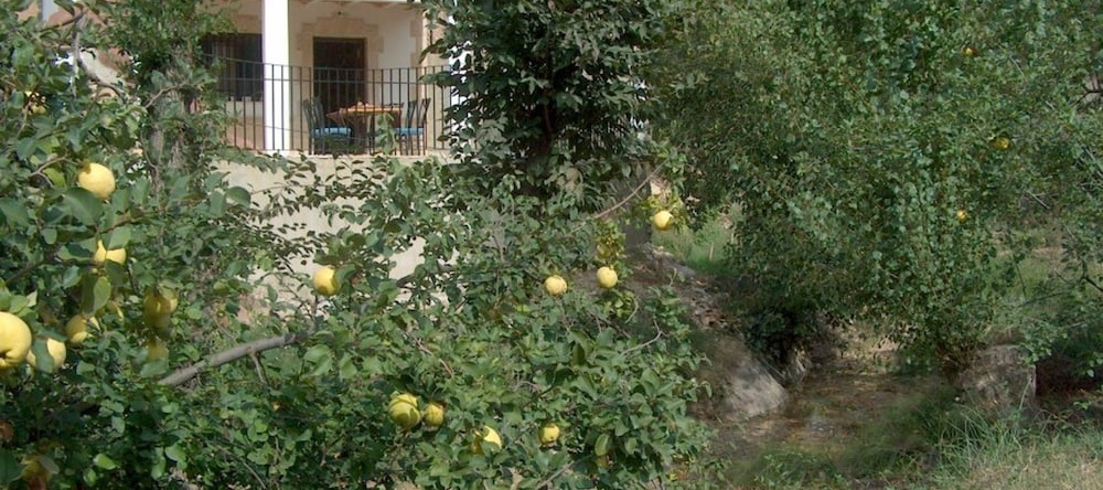 House With 5 Bedrooms in Zambra, With Furnished Terrace and Wifi, 鲁特 — 照片 1