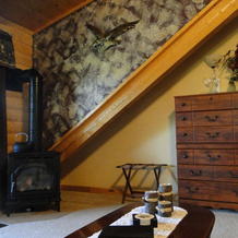Elkwood Manor Luxury Bed & Breakfast, Пагоса-Спрингс — фото 3