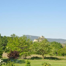 Le Mas En Provence, 昂特雷格 — 照片 4