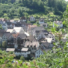 Hotel-Gasthof Zum Weyssen Rössle, 希尔塔赫 — 照片 4