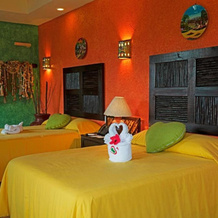 El Corazón Golf & Spa Resort Manzanillo, 曼萨尼约 — 照片 4
