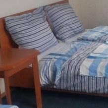 Hotel Britz, Velké Hamry — photo 5