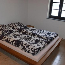 Ferienwohnung Emmert Landshut, 兰茨胡特 — 照片 2