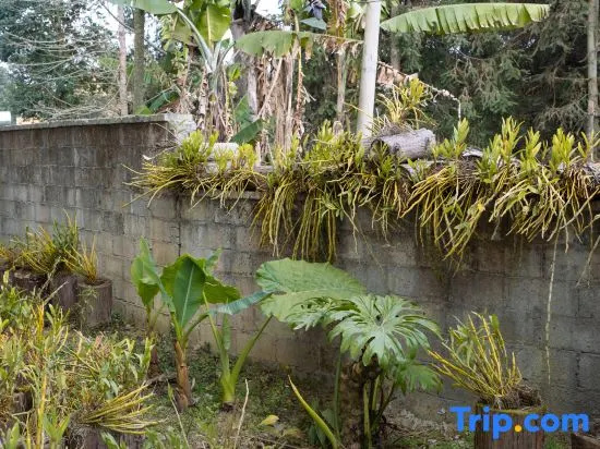 Yuanyang Yunshuiyuan Homestay, Yuanyang — photo 1