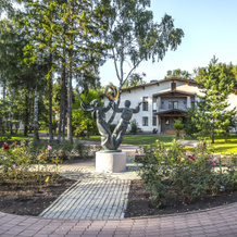 Артурс Спа Отель By Mercure, Ларёво — фото 5