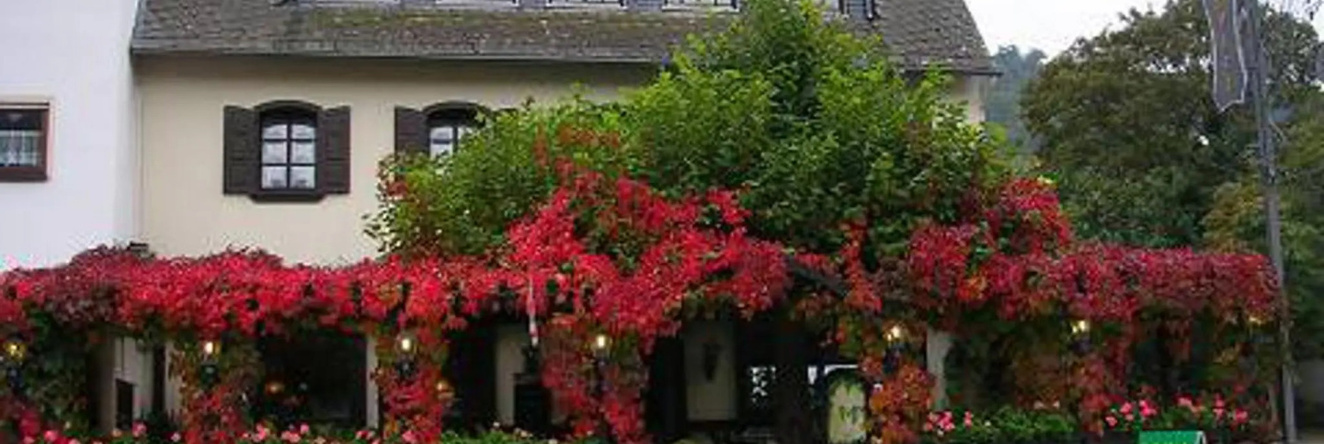 Gasthaus Traube Niederfell, 尼德费尔 — 照片 1