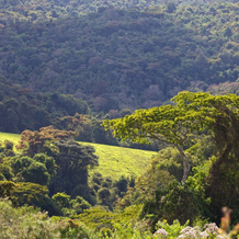 Mufindi Highland Lodge, Ифупира — фото 5