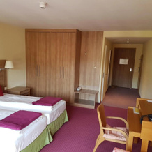 Nashira Kurpark Hotel  100 Prozent Barrierefrei, 巴特黑雷纳尔布 — 照片 2