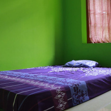 Homestay Mbak Karti, Харготирто — фото 4