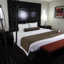 Crowne Plaza Toluca Lancaster by IHG, 圣赫罗尼莫奇卡瓦尔科 — 照片 2