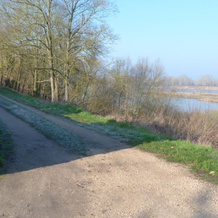 Les Gites De Colliers, Мюид-сюр-Луар — фото 4