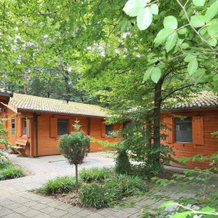 Lodges Veluwse Poort, 迪伦 — 照片 4
