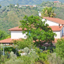 Benvenuti Nel Sud, Sessa Cilento — photo 2