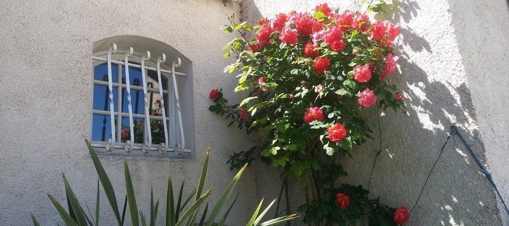Le Clos Fleuri, Narbonne — photo 1