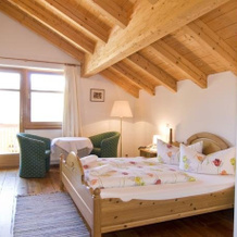 Hotel Gasthof Unterwöger & Gästehaus & Unterwöger‘s Zuhäusl, 上迪拉赫 — 照片 4