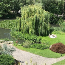 Le Domaine de Gorneton, 罗讷河畔沙斯 — 照片 2