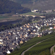 Weinstube Pension Moselblümchen, Цельтинген-Рахтиг — фото 4